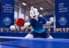 Reprise et mise à jour du site internet
